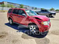 2010 Ford ESCAPE фото