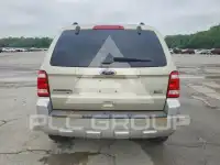 2010 Ford ESCAPE фото