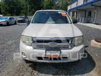 2010 Ford ESCAPE фото