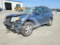 2010 Ford ESCAPE фото