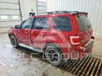 2010 Ford ESCAPE photo