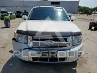 2010 Ford ESCAPE photo