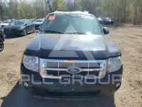 2010 Ford ESCAPE photo