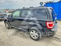 2010 Ford ESCAPE фото