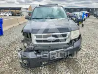 2010 Ford ESCAPE фото