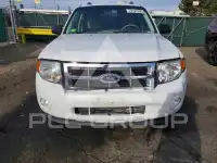 2010 Ford ESCAPE photo