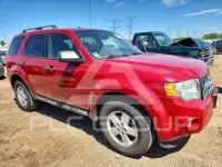 2010 Ford ESCAPE photo