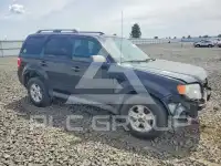 2010 Ford ESCAPE фото