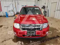 2010 Ford ESCAPE фото