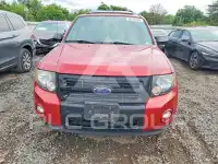 2010 Ford ESCAPE photo