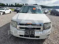 2010 Ford ESCAPE photo