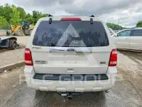 2010 Ford ESCAPE photo