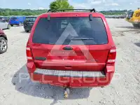 2010 Ford ESCAPE photo