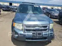 2010 Ford ESCAPE photo