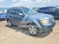 2010 Ford ESCAPE photo