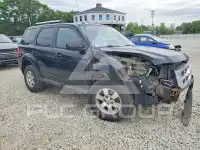 2010 Ford ESCAPE фото