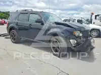 2010 Ford ESCAPE фото