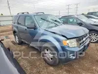 2010 Ford ESCAPE фото