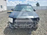 2010 Ford ESCAPE фото