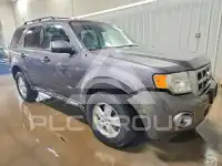2010 Ford ESCAPE photo