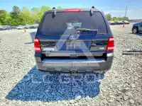 2010 Ford ESCAPE photo