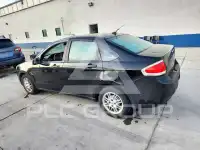 2010 Ford FOCUS фото