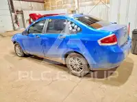 2010 Ford FOCUS фото