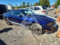 2010 Ford MUSTANG фото