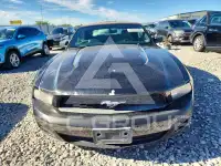 2010 Ford MUSTANG photo