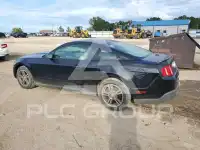 2010 Ford MUSTANG photo