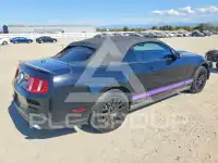 2010 Ford MUSTANG фото