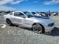2010 Ford MUSTANG photo