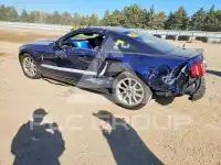 2010 Ford MUSTANG photo