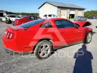 2010 Ford MUSTANG фото