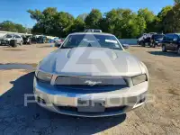 2010 Ford MUSTANG photo