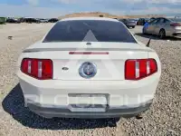 2010 Ford MUSTANG photo