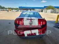 2010 Ford MUSTANG фото