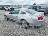 2010 Ford MUSTANG фото