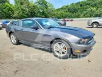 2010 Ford MUSTANG фото