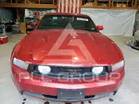 2010 Ford MUSTANG фото
