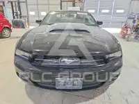 2010 Ford MUSTANG фото