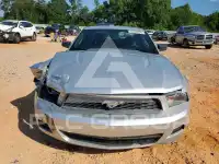 2010 Ford MUSTANG photo