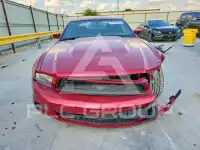 2010 Ford MUSTANG photo