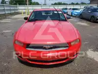 2010 Ford MUSTANG фото