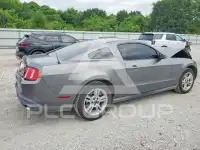2010 Ford MUSTANG фото
