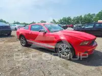 2010 Ford MUSTANG фото