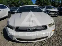 2010 Ford MUSTANG photo