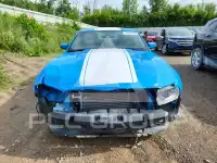2010 Ford MUSTANG фото