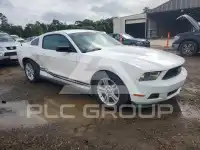 2010 Ford MUSTANG photo