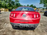 2010 Ford MUSTANG фото